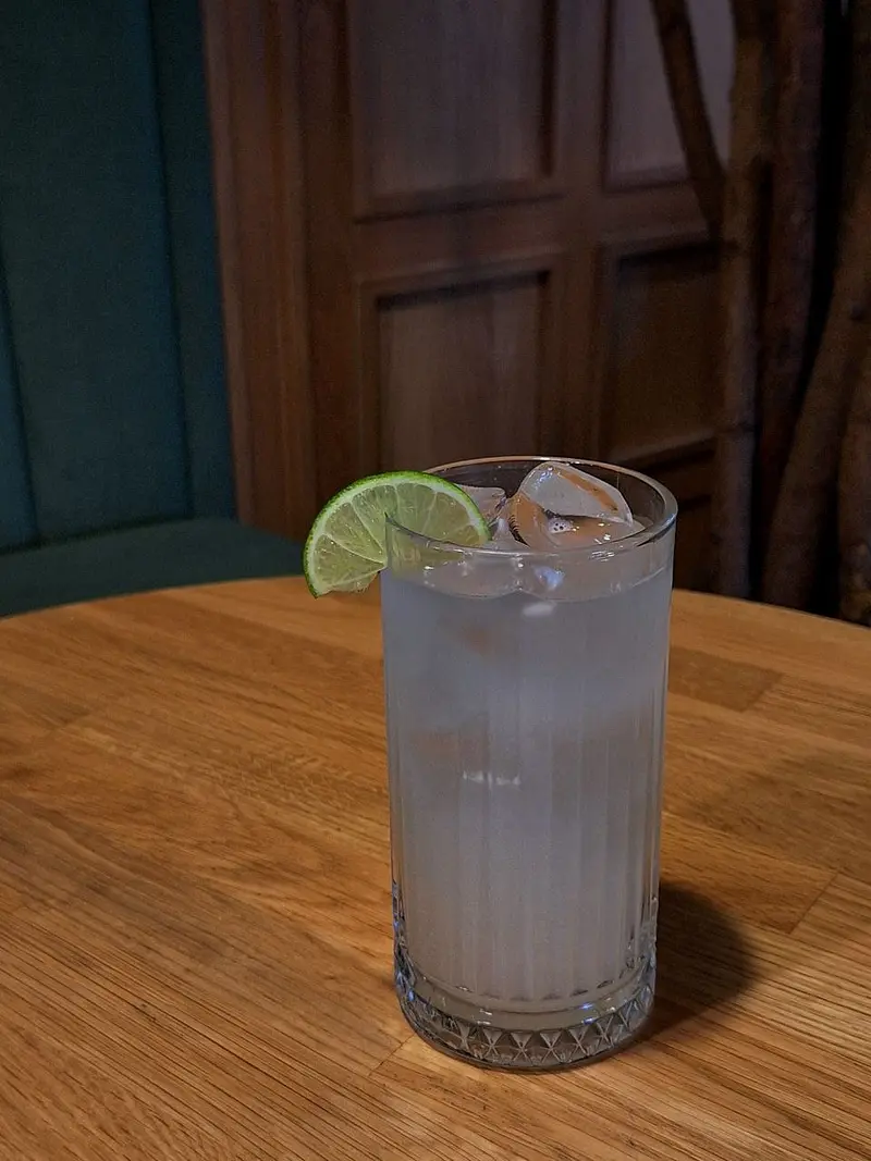 Лимонад Груша-Бузина