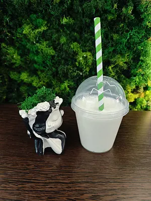 Молочный коктейль ( В ассортименте)