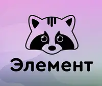 Активити парк «Элемент»