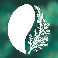 Кофейня Хвоя