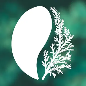 Каша рисовая